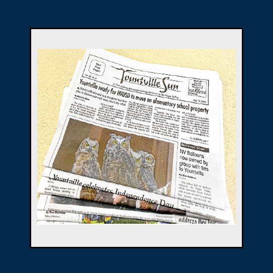 Town of Younville News Blog v4